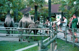 Parco Zoo di Punta Verde Lignano